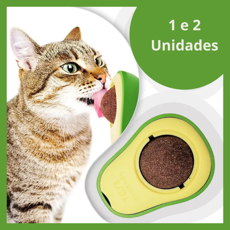 Abacate Catnip para Gatos 🥑