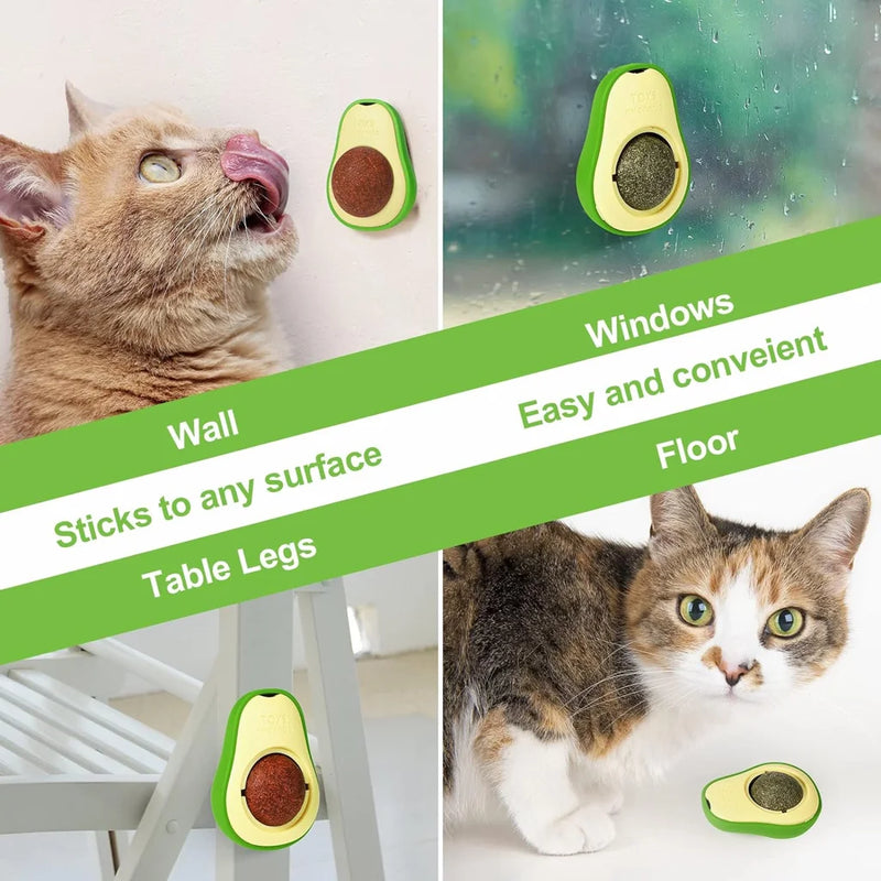 Abacate Catnip para Gatos 🥑