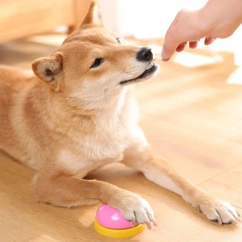 Sinos de Treinamento Interativo para Animais de Estimação 🐾