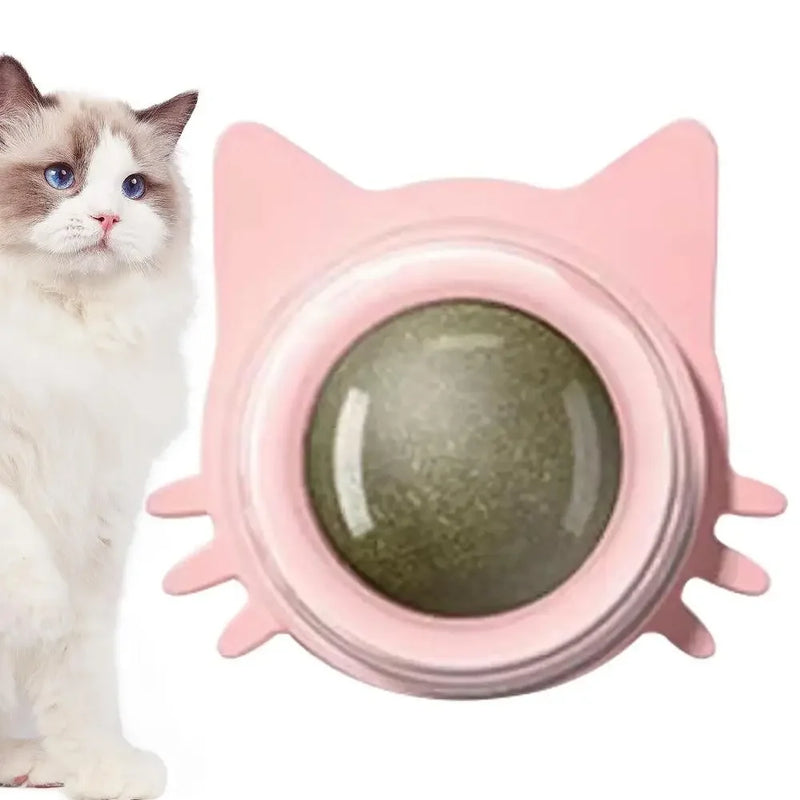 Bolas de Catnip Saudáveis para Gatos 🐾