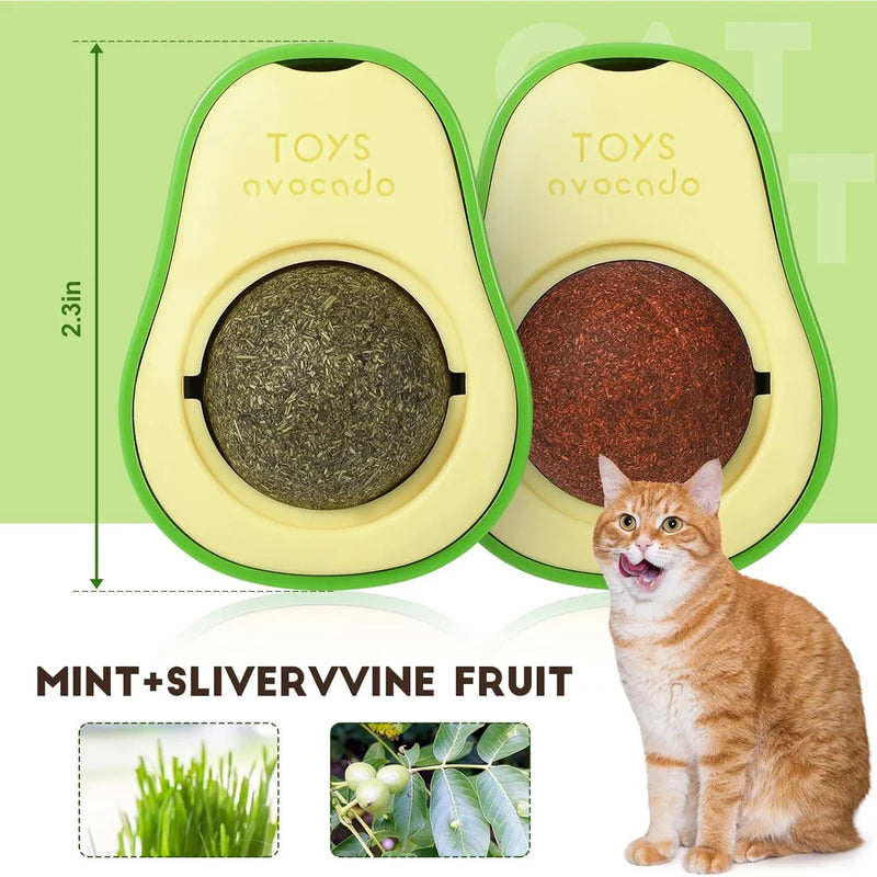 Abacate Catnip para Gatos 🥑